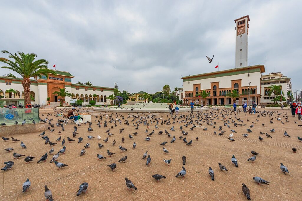 Pigeons in front of Casablanca's Mohammed V Square and City Hall on a cloudy day.