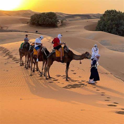 Tourists riding camels through the golden dunes of the Moroccan Sahara during a VIP desert excursion