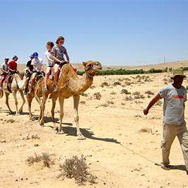 Agafay Desert Camel Ride with Local Guide – highlights cultural immersion.