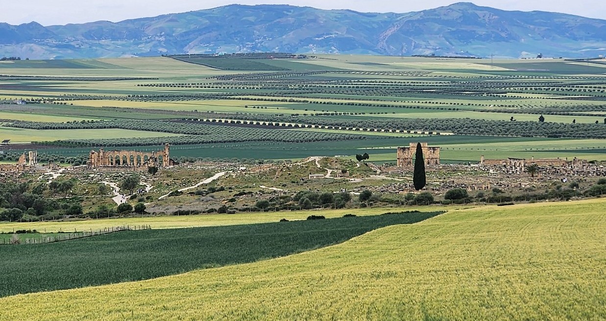 Ancient Roman ruins of Volubilis surrounded by green fields and mountains in Morocco.
