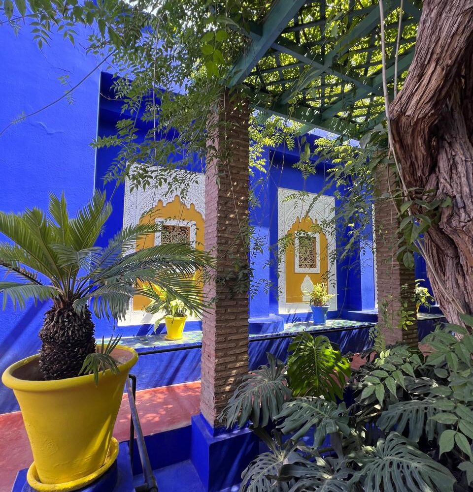 Majorelle Garden Blue Courtyard – Marrakech Blue courtyard with tropical plants at Majorelle Garden in Marrakech, Morocco