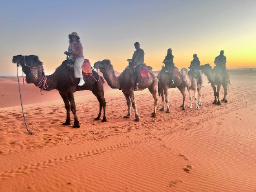 American travelers exploring Marrakech Medina with a licensed local guide in Morocco