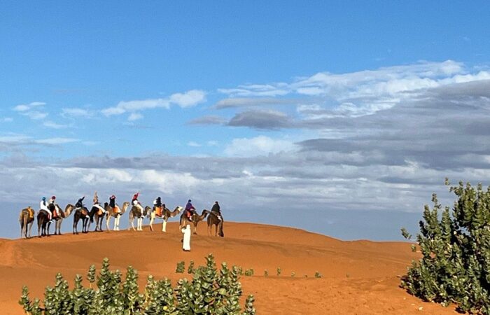 Camel caravan crossing the Sahara Desert dunes in Morocco during a guided desert tour