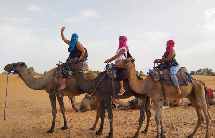 Travelers enjoying a camel ride in the Sahara Desert in Morocco